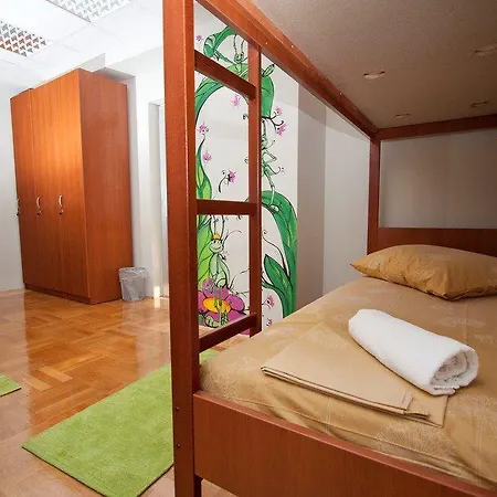 Auberge de jeunesse Cocoon & *