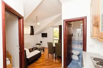 Cocoon & Hostel *