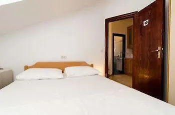 Hostel Cocoon &